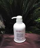 �ō��̃I�[�K�j�b�N�V�����v�[